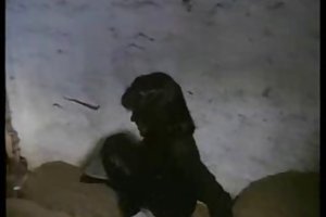 Sex Komedie Vintage tyske film lass kumpel 2 se cool russiske porno