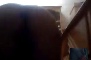 Fra Saudi-Arabien hjemmelavet porno close-up online